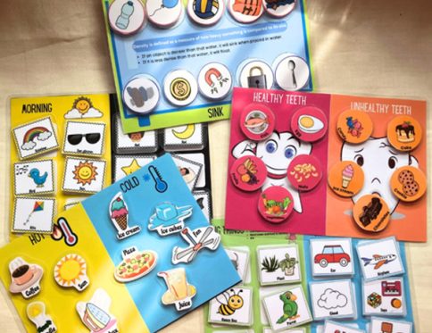 Busy Book Basic Science sorter