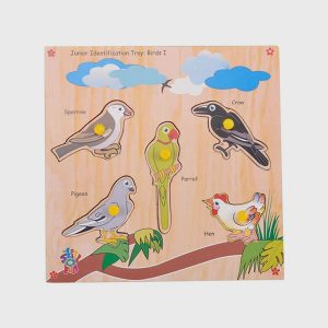 Identification Tray-Birds I