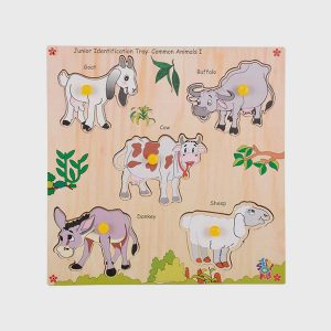 Identification Tray-Common Animal I