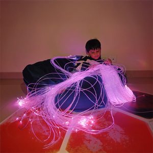Sensory Fiber Optic Set with Jacket – 200 Points, 2 Meter Long(Sparkling)